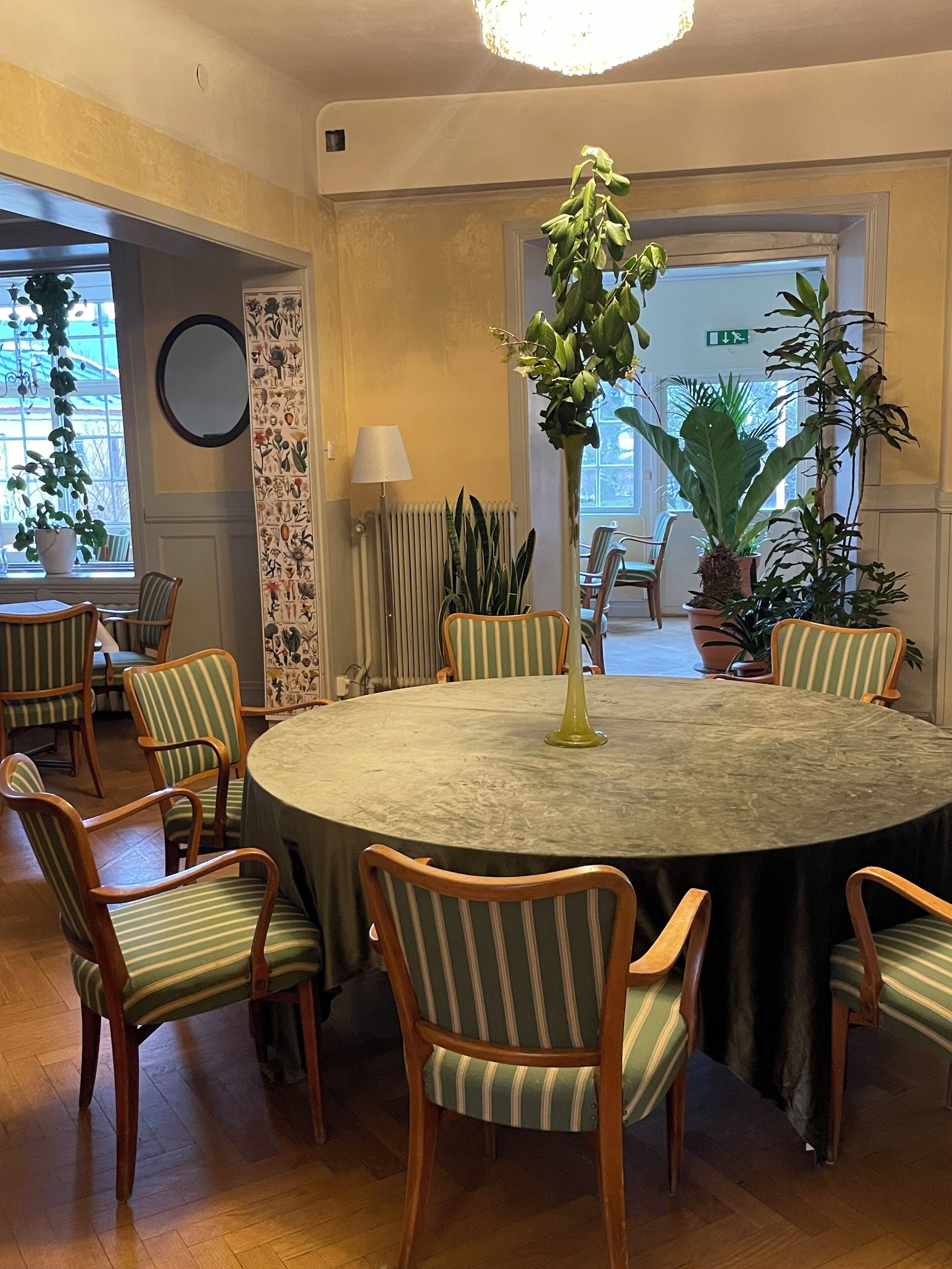 Een ronde eettafel met zes gestreepte stoelen, omringd door potplanten en een grote spiegel aan de muur.