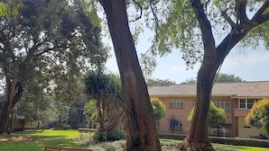 Un jardín con un banco de madera, árboles grandes y un edificio de techo con tejas.