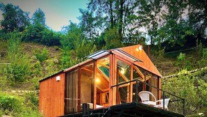 Eine Holzhütte mit Glaseinfassung, gelegen auf einer Steintreppe inmitten von Grünpflanzen.