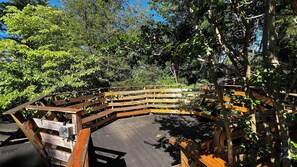 Property grounds - Comfortable cabin in the mountains of North Carolina, located near TIEC. (Mill Spring)