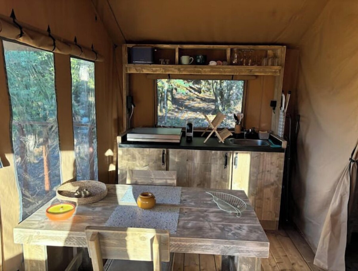 オーナーのプロフィール画像