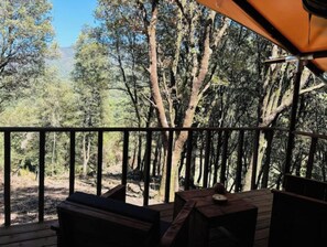 Property grounds - Lodge Sappara (Olivese)