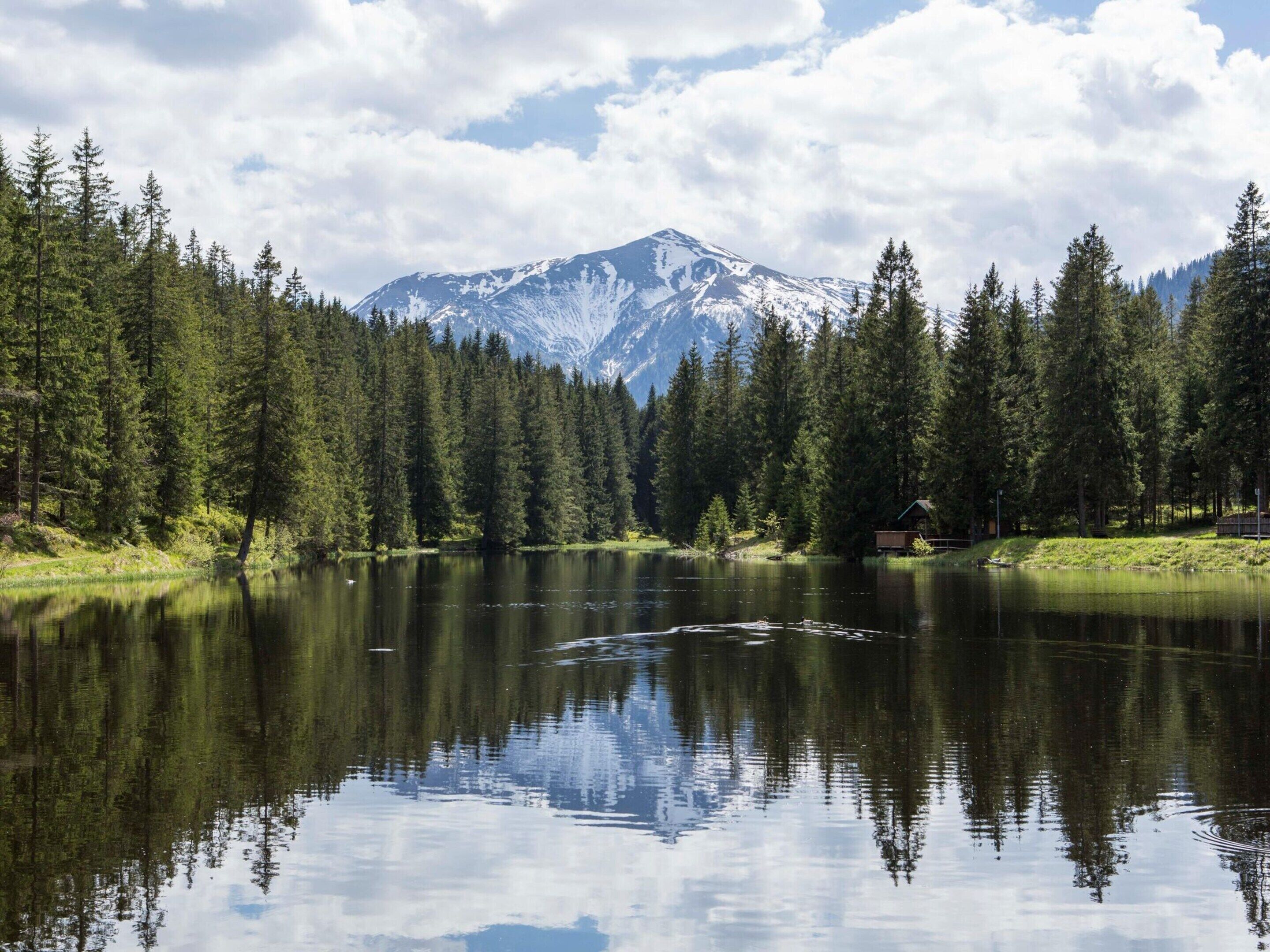 A serene lake surrounded by dense forest and a snow-capped mountain in the background.