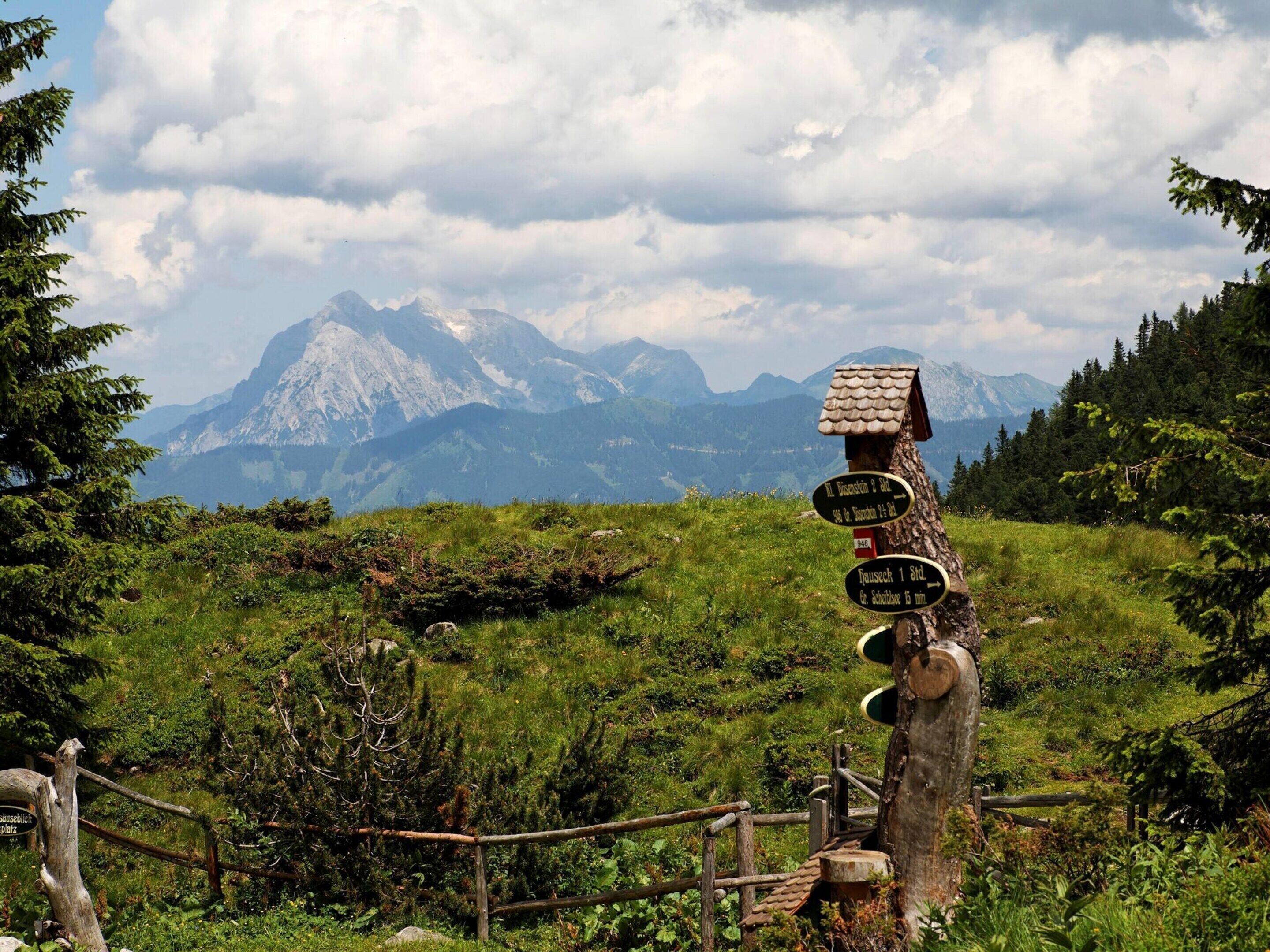 A wooden signpost with directional arrows pointing to various destinations, surrounded by lush greenery and mountains in the background.