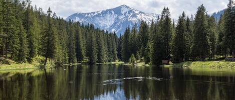 A serene lake surrounded by dense forest and a snow-capped mountain in the background.
