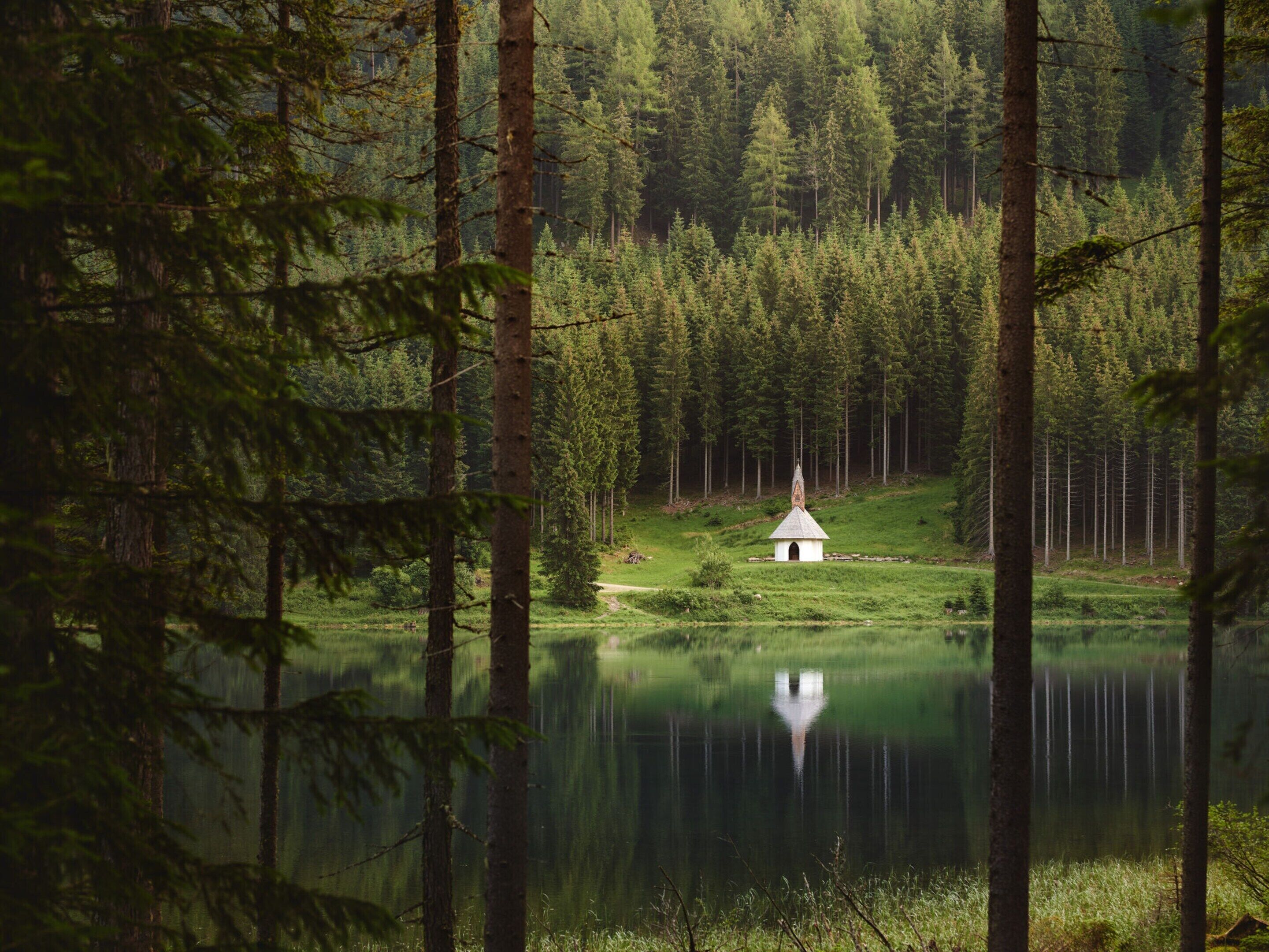 A serene lakeside scene with a small white chapel surrounded by dense forest and tall trees.