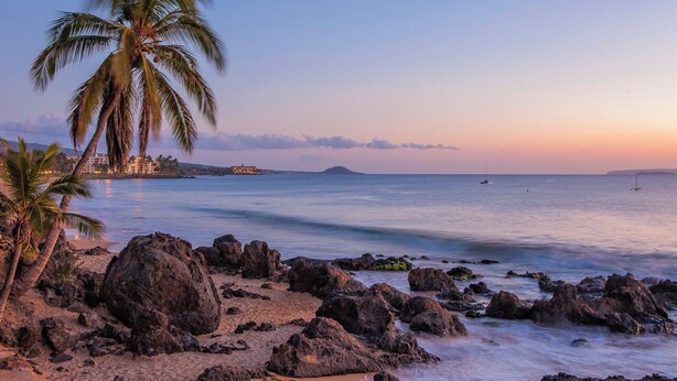 A beach with palm trees, rocky shoreline, and calm sea.
