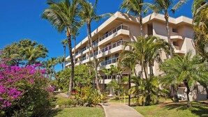 A multi-story hotel with balconies, surrounded by palm trees and vibrant bougainvillea.