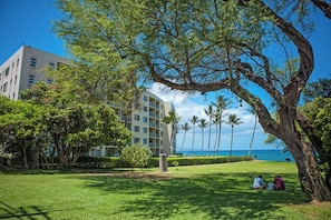 Exterior - Oceanfront 2BR Maui condo w/ pool and beach access (Kihei)