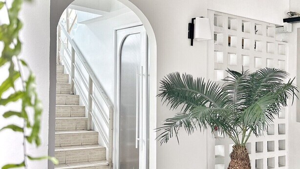 A modern interior with a staircase, a white wall, and a potted palm plant. - UDMS On nut 10 (Bangkok)