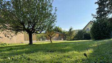 A grassy area with a tree and a building in the background.