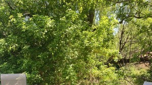 An outdoor seating area with a metal table and chairs, a fire pit with a visible fire, surrounded by greenery. - Private yurt perfect for your Magic Valley stay. (Buhl)