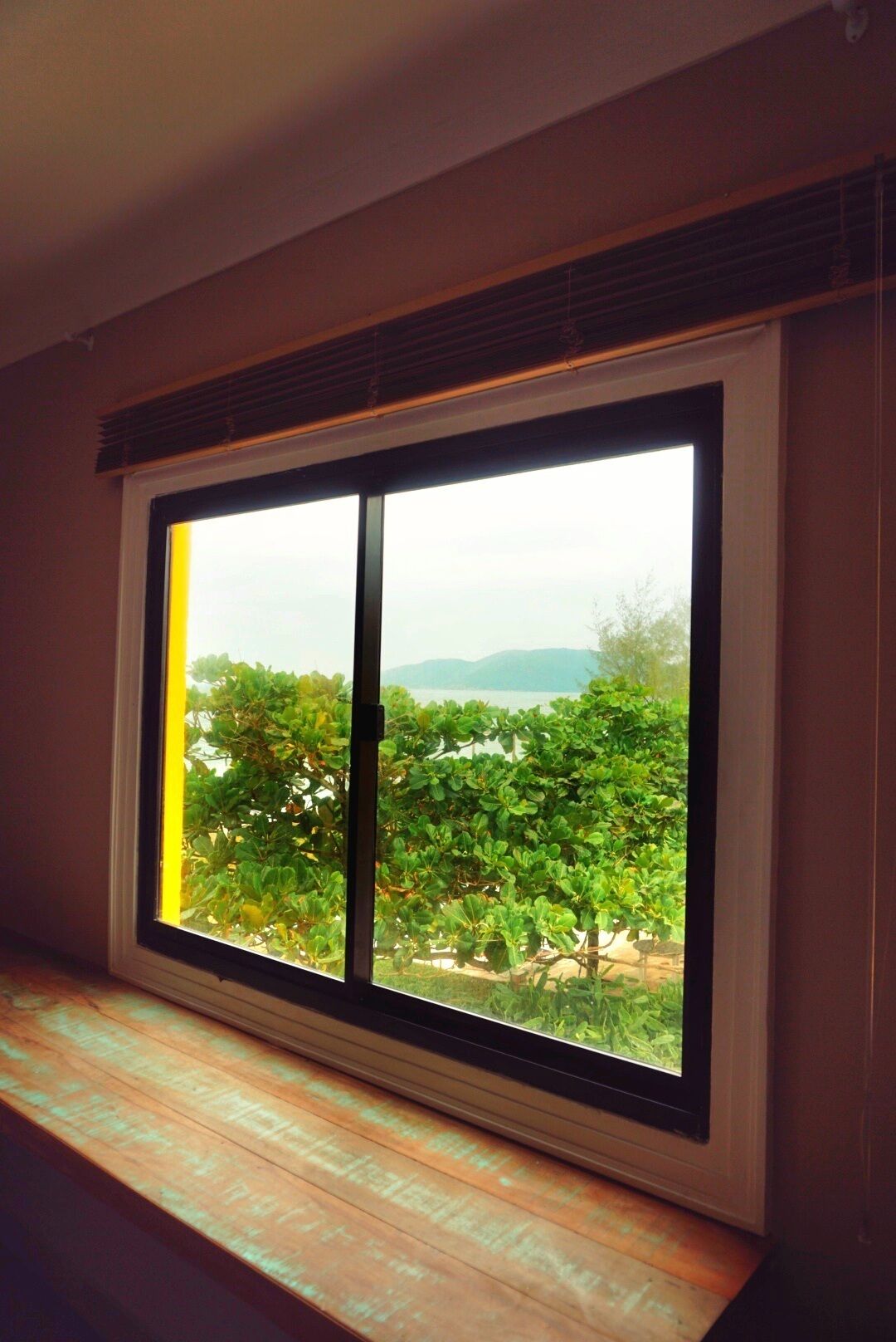 A window with a view of greenery and distant hills.