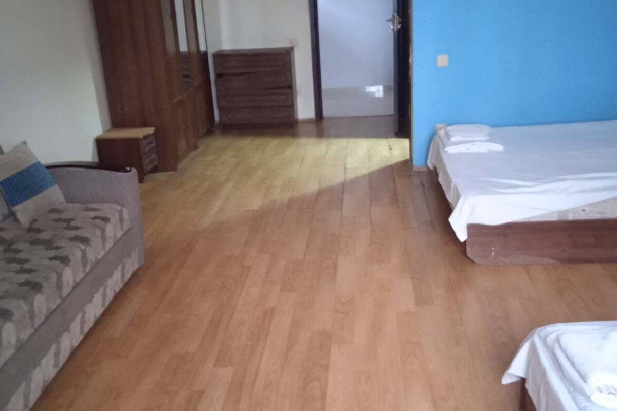 A room with wooden flooring, a sofa, a bed, a wardrobe, and a door leading to another room.
