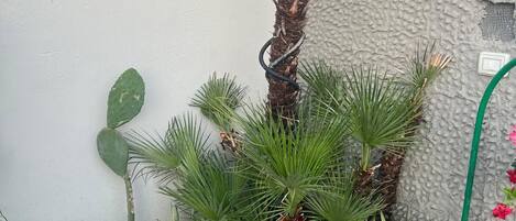 外观细节
