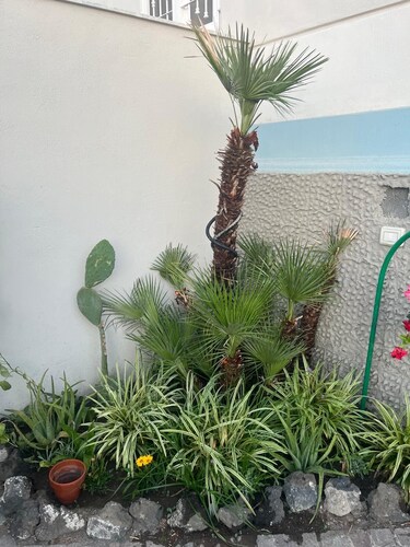 Monolocale in Residenza Storica Wi-fi Stazione Circumvesuviana Pollena Trocchia