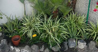 Monolocale in Residenza Storica Wi-fi Stazione Circumvesuviana Pollena Trocchia