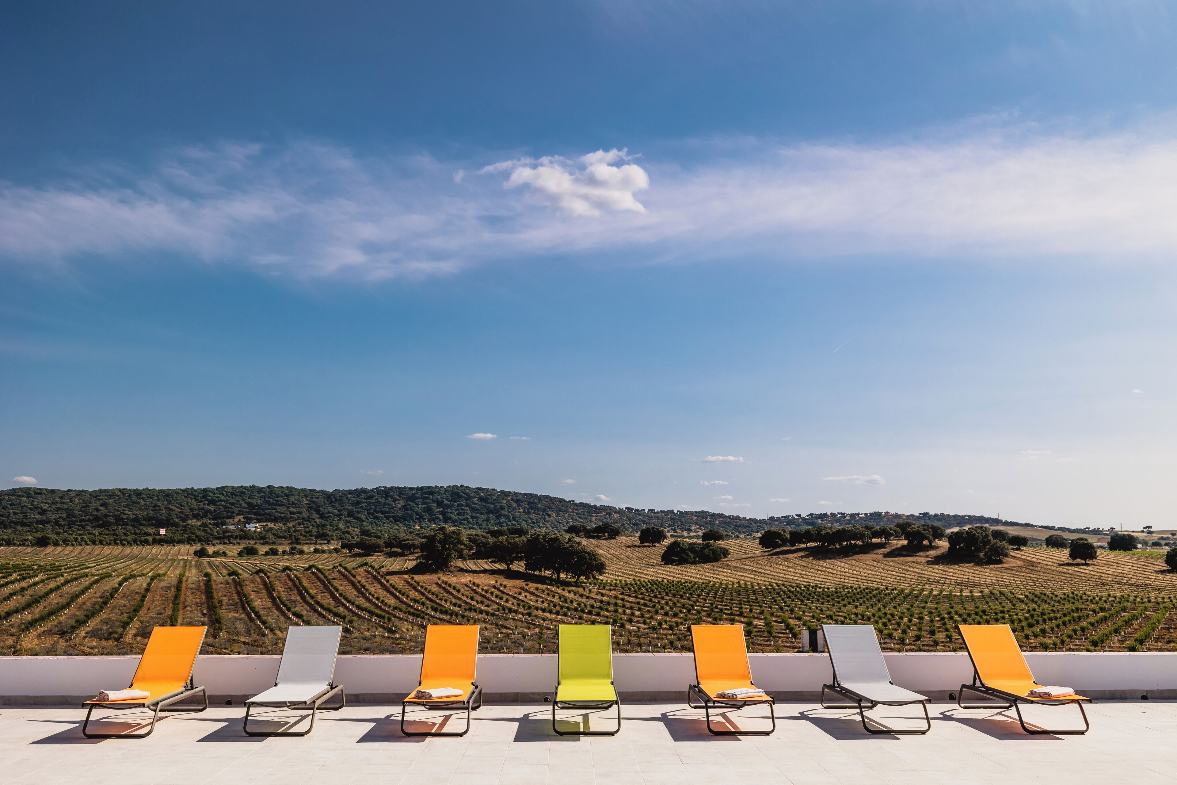Une terrasse dotée de cinq fauteuils confortables, donnant sur un paysage de vignes.