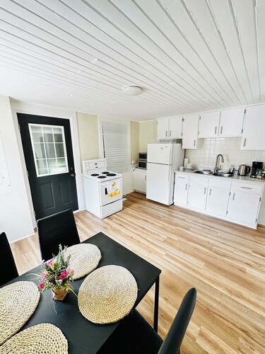 Spacious 2BR House with Netflix, BBQ, and Patio Near City Centre