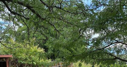 RV Space in Rio Rancho with stunning views.