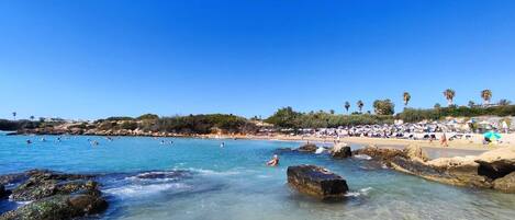 Plage à proximité, chaise longue, serviettes de plage