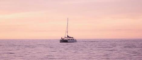 A sailboat on calm waters during sunset.