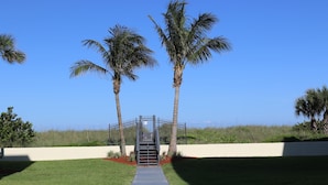 A pathway leading to a gated entrance with palm trees on either side. - Direct Beachfront Sea Oats Condo in Cocoa Beach (Cocoa Beach)