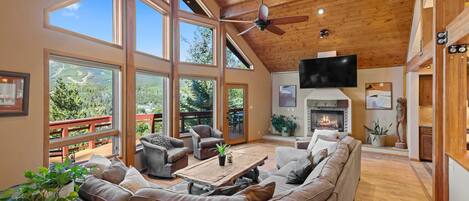 Smart TV, chimenea, libros
