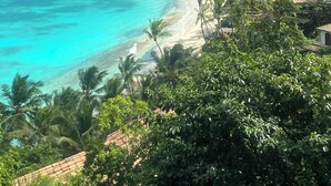 A coastal landscape with a beach, lush greenery, and a mountain backdrop.