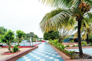 Vườn