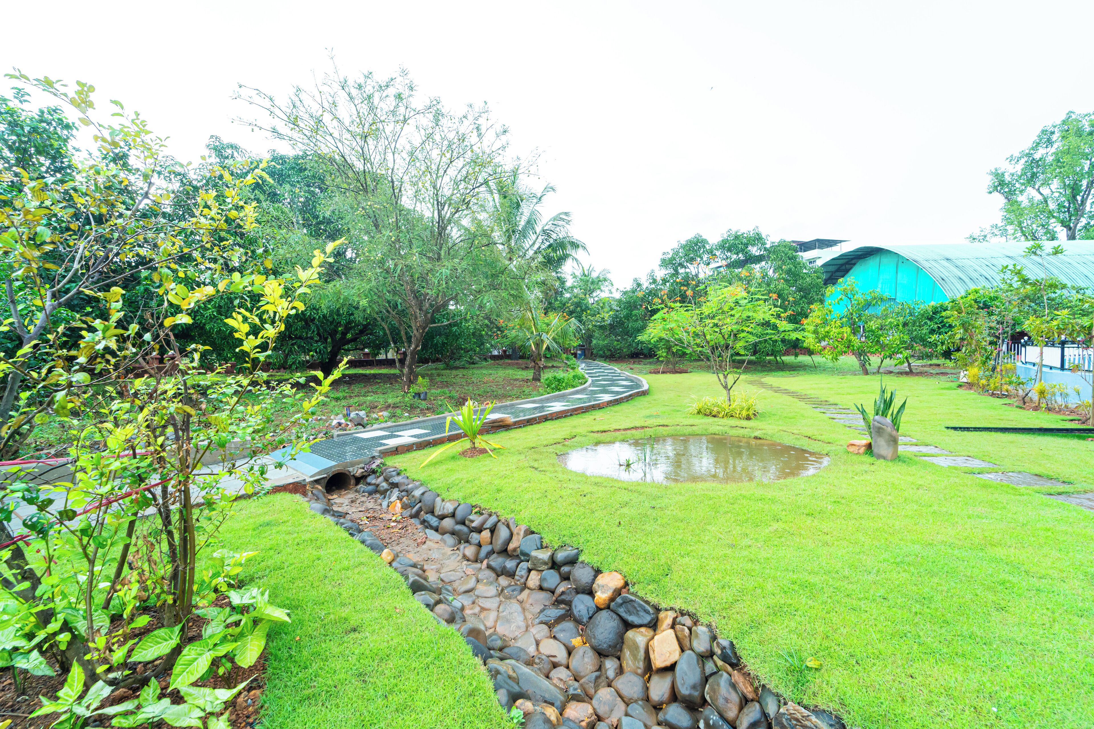 Garden