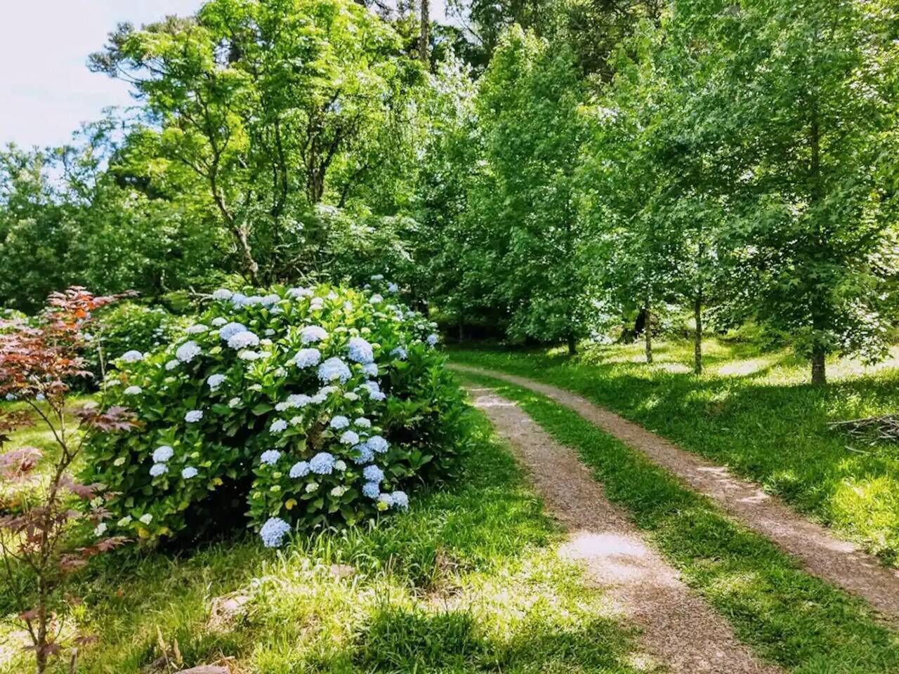 Área da propriedade