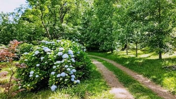 Área da propriedade