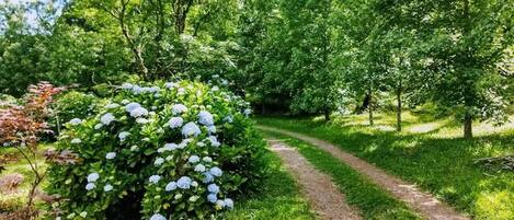 Área da propriedade