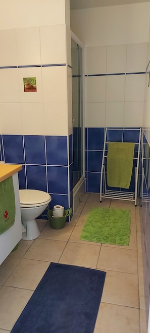 Shower, hair dryer, towels