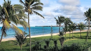Ein Strand mit Palmen und einer Stadtkulisse im Hintergrund.