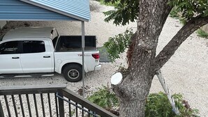 Una camioneta pickup blanca estacionada bajo una estructura con techo azul, un árbol de tronco hueco y una escalera de madera que conduce a un área cubierta.