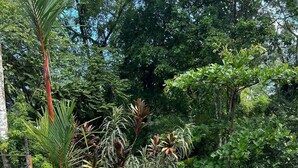 A swimming pool with blue mosaic tiles, surrounded by lush greenery and various tropical plants. - Jungle House, 100m From the Beach, With Private Pool (Bocas del Toro)