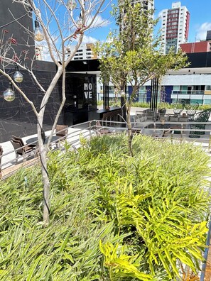 Terraza en la azotea
