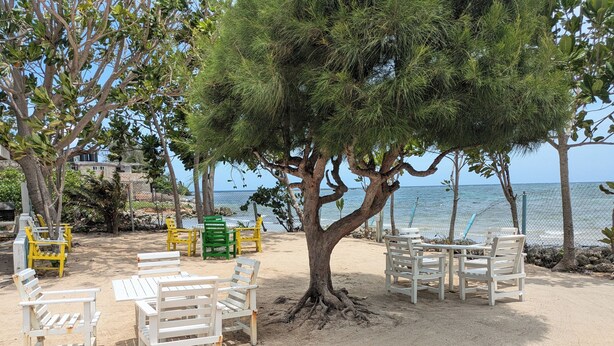 A beachside seating area with white and yellow chairs, a large tree, and a view of the ocean. - Don Juan Bungalow (Ocho Rios)