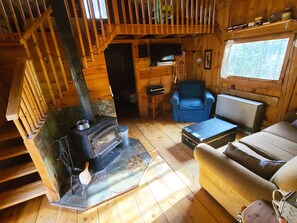 TV, fireplace, DVD player, books