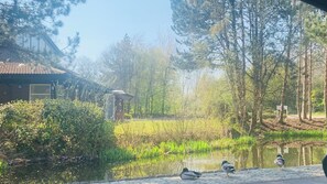 Property grounds - Happy Day  in Coventry Next to the University of Warwick (Coventry)