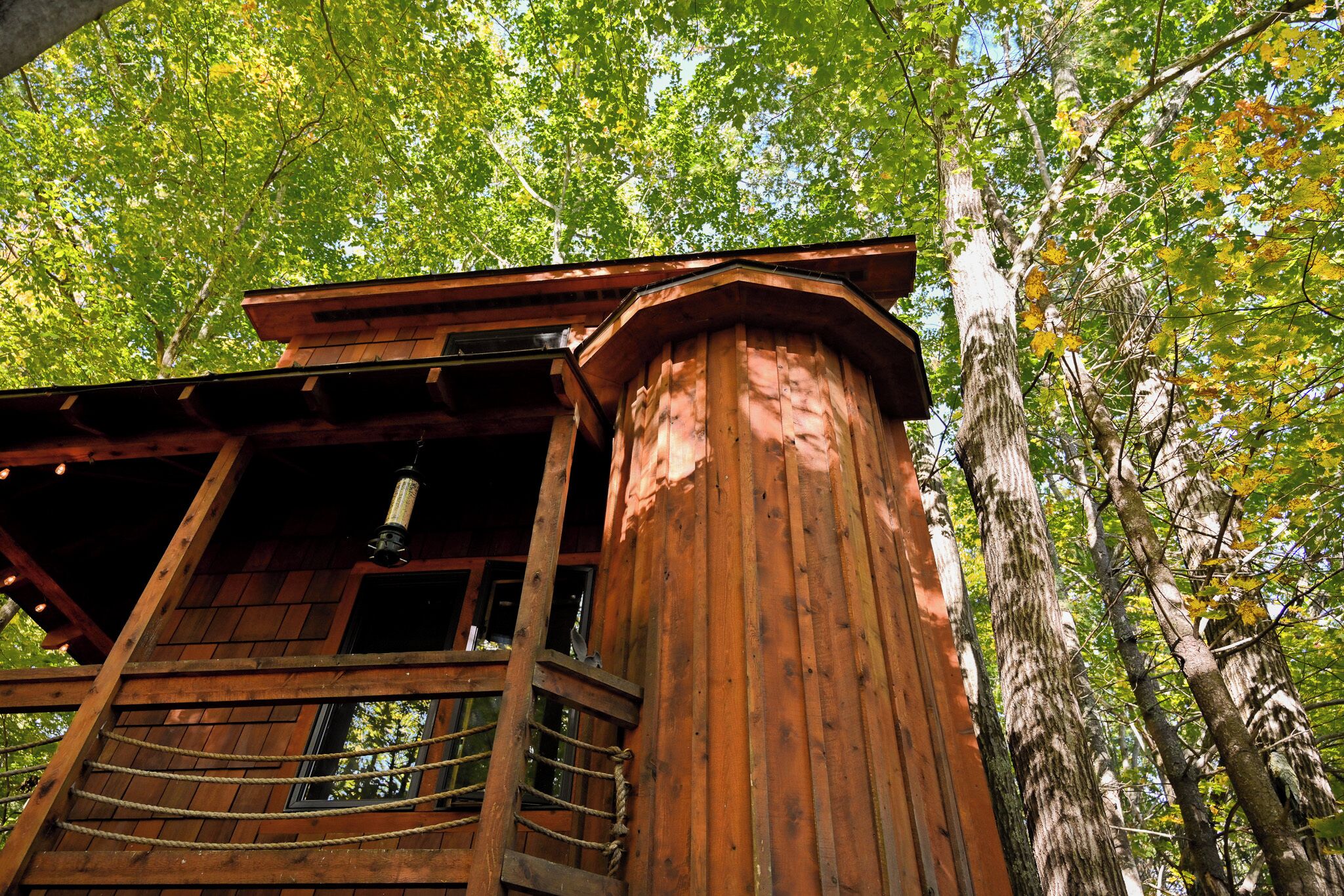 A wooden cabin with a balcony, surrounded by tall trees.