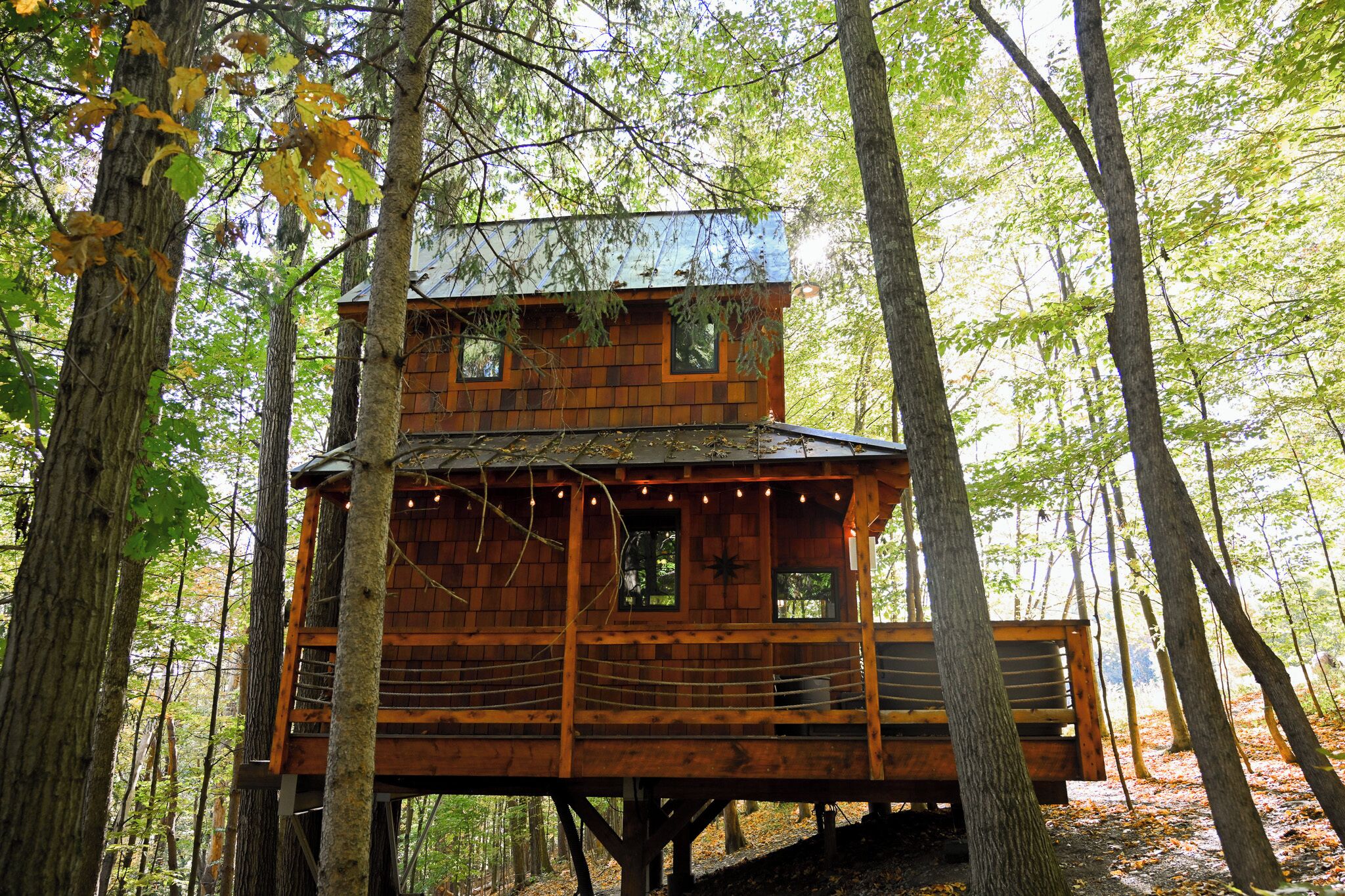 A wooden cabin with multiple windows and a balcony, surrounded by trees in a forest.