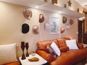 Smart TV, fireplace, DVD player, books