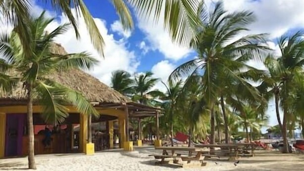 Une zone de plage agrémentée de constructions à toits de chaume, de palmiers et de tables de pique-nique.