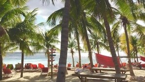 Une plage bordée de palmiers, un banc en bois et des chaises longues rouges.