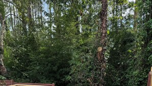 En træterrasse med et rundt bord og stole, omgivet af et træhegn og frodig vegetation.