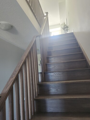 Brand new 3 bedrooms at Harmony road