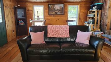 TV, fireplace, DVD player, books